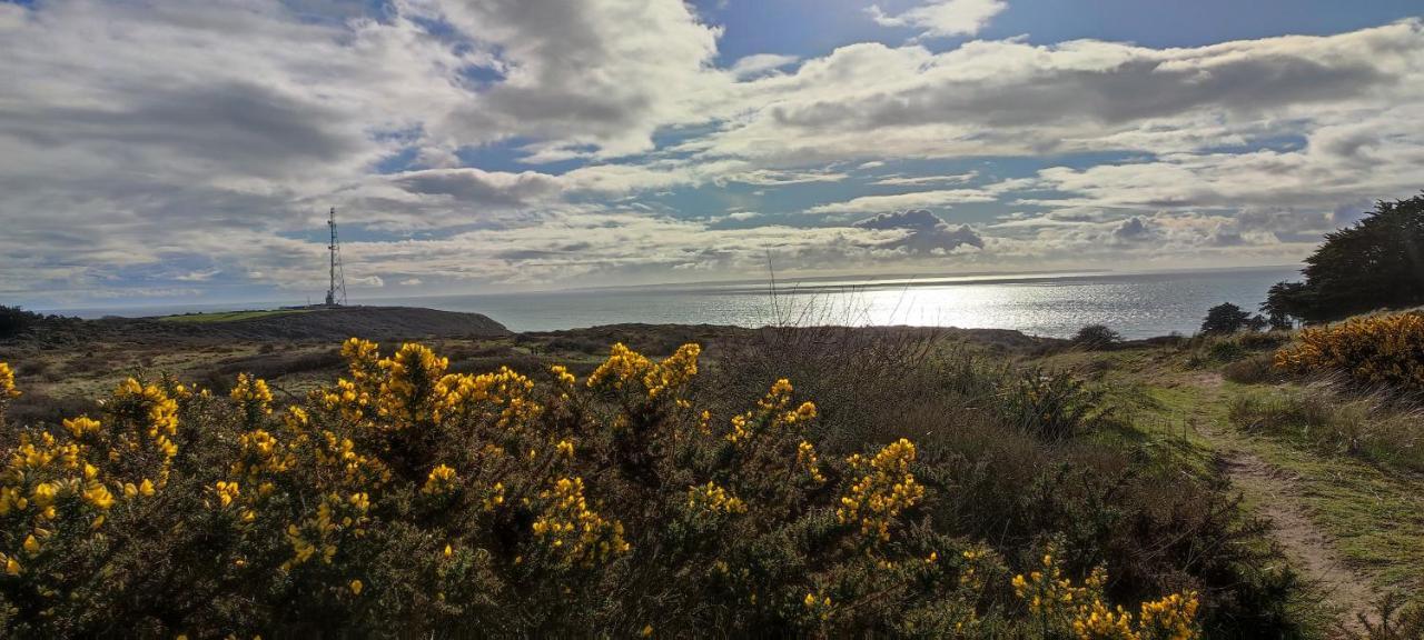Vila Maison Des Reves A 700M De La Mer Barneville-Carteret Exteriér fotografie